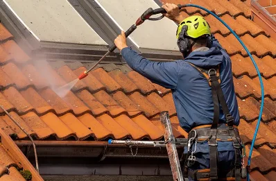 Démoussage et hydrofuge de toiture à Ambléon